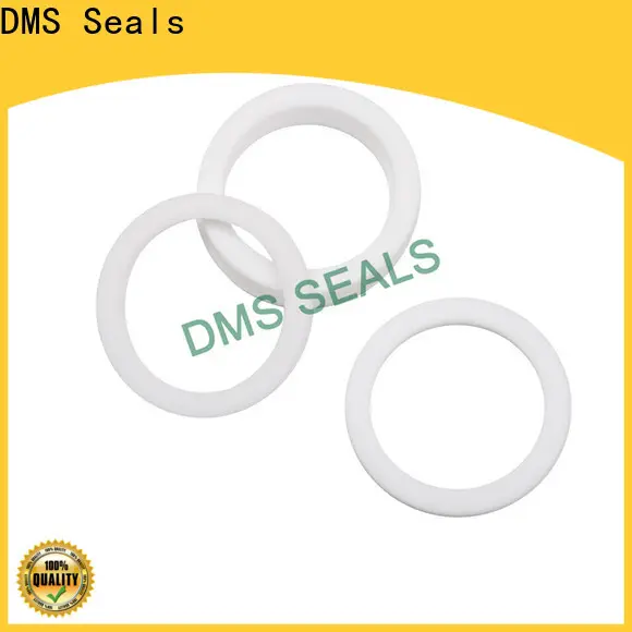 DMS Seals white rubber gasket material factory for preventing the seal from being squeezed 1