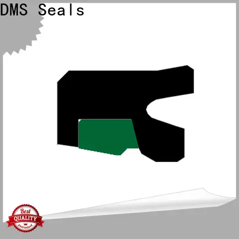 DMS Seals hydraulic rod seals online for sale for pressure work and sliding high speed occasions1 1