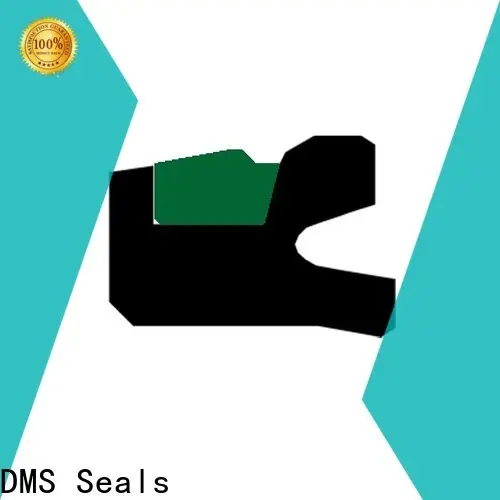 DMS Seals hydraulic cylinder seal design supply for sale 1