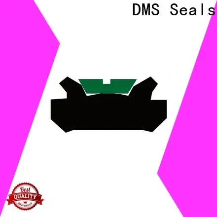 DMS Seals DMS Seals cup seals for hydraulic cylinders supplier for sale 1