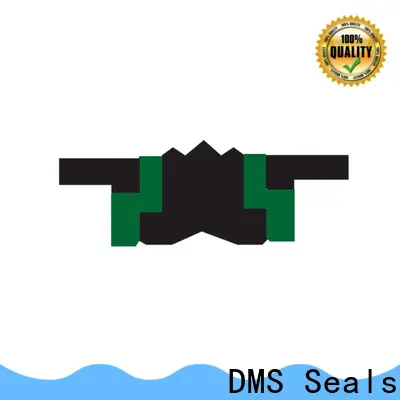 DMS Seals hydraulic cylinder seal design manufacturer for pneumatic equipment 1