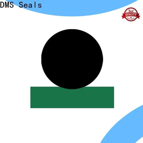 DMS Seals Custom hydraulic motor seal kit factory for sale 1