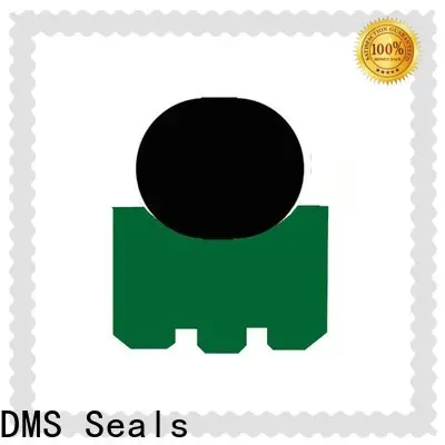 DMS Seals shaft seal material supply for construction machinery 1