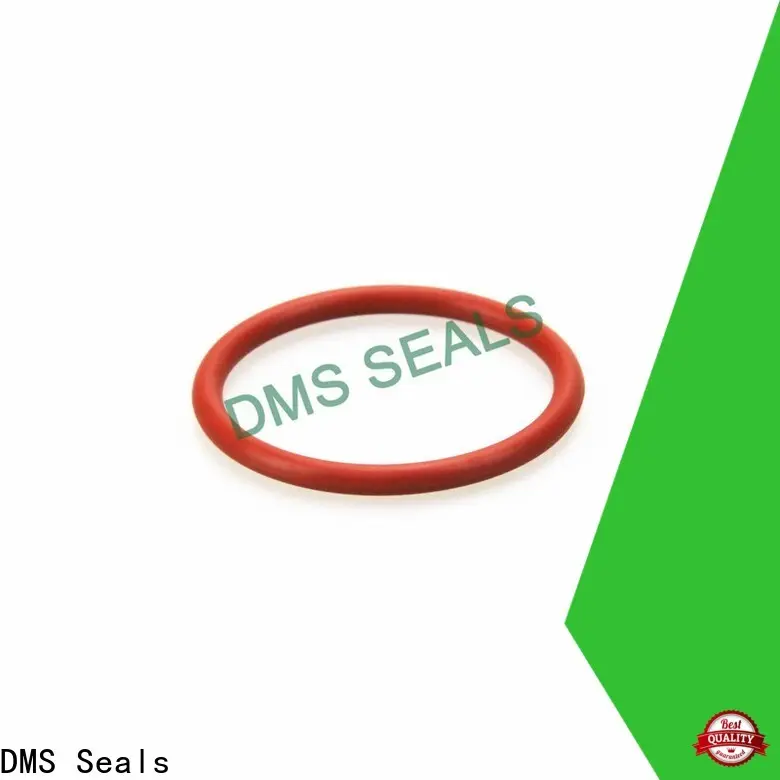 DMS Seals o rubber cost in highly aggressive chemical processing 1