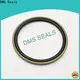 DMS Seals High-quality hydraulic cylinder piston supply for piston and hydraulic cylinder 1