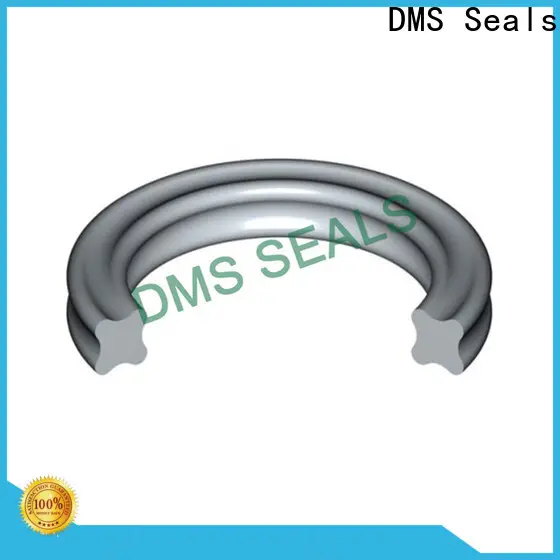 DMS Seals small silicone o rings factory for static sealing 1