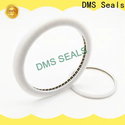 DMS Seals Latest mechanical seal presentation company for reciprocating piston rod or piston single acting seal 1