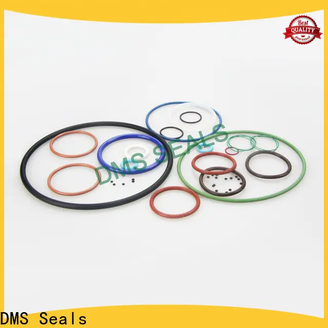 DMS Seals rod wiper seals cost for sale 1