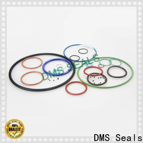 DMS Seals Wholesale purchase o rings for sale in highly aggressive chemical processing 1