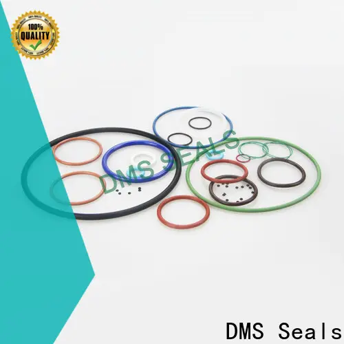 DMS Seals Latest buy silicone o rings factory in highly aggressive chemical processing 1