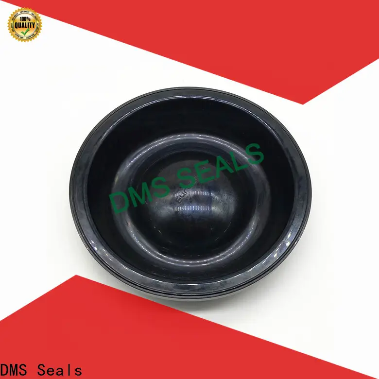 DMS Seals Best rubber door gaskets supplier wholesale for leakage gap 1