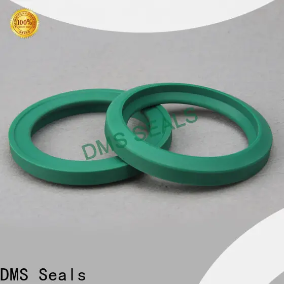 DMS Seals Quality grease seal manufacturers supplier for larger piston clearance 1