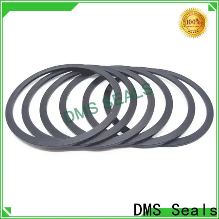 DMS Seals Custom Gasket factory for preventing the seal from being squeezed 1