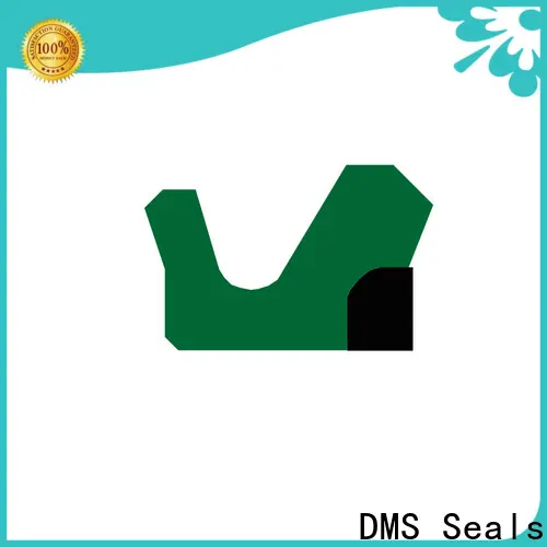 DMS Seals Wholesale hydraulic packing kits factory for pressure work and sliding high speed occasions 1