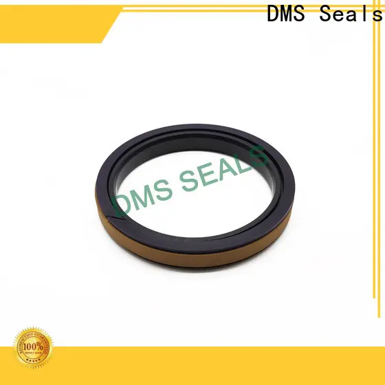 DMS Seals hydraulic cylinder seal design supplier for pneumatic equipment 1