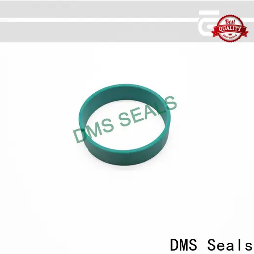 DMS Seals oil seal manufacturer manufacturer for sale 1