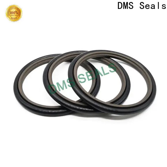 DMS Seals o ring seal manufacturers supply for piston and hydraulic cylinder 1