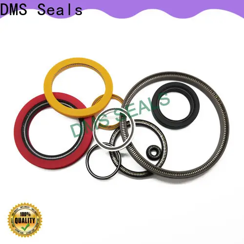 DMS Seals Bulk buy parker spring energized seals wholesale for choke lines 1