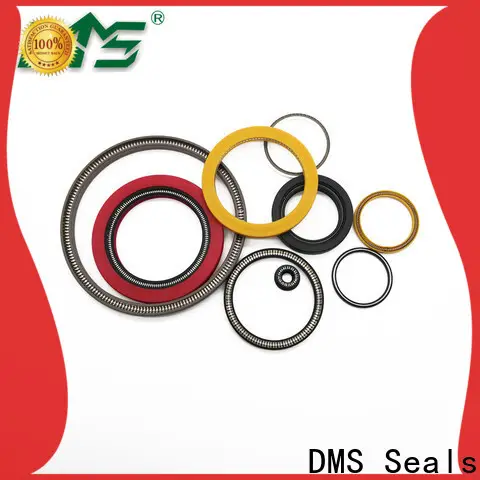 DMS Seals spring energised seal for valves 1