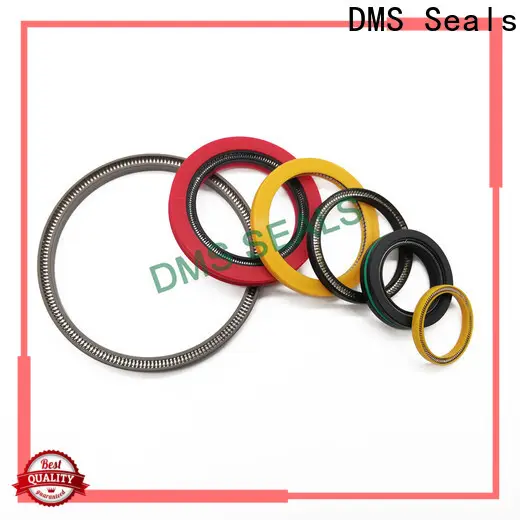 DMS Seals parker spring energized seals company for acidizing 1