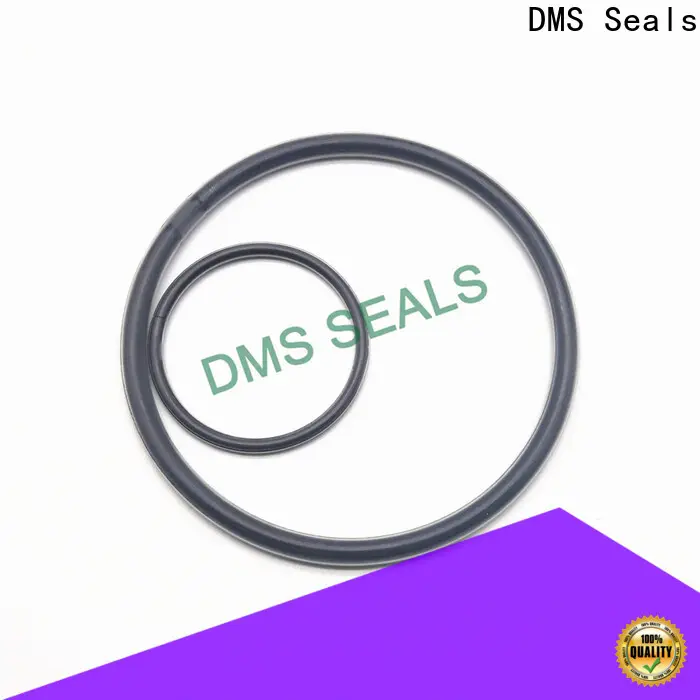 DMS Seals Wholesale hydraulic o ring sizes manufacturer in highly aggressive chemical processing 1
