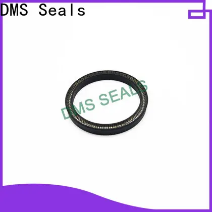 DMS Seals glrd mechanical seal manufacturer for reciprocating piston rod or piston single acting seal 1