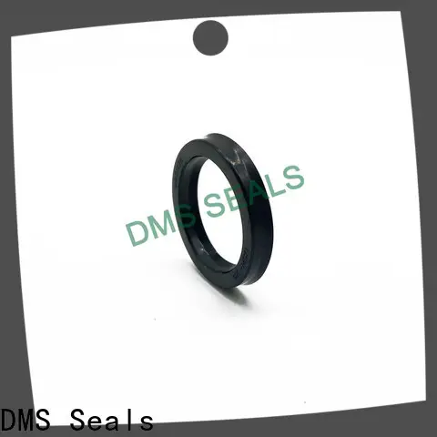 DMS Seals Professional oil seal ptfe supply for housing 1