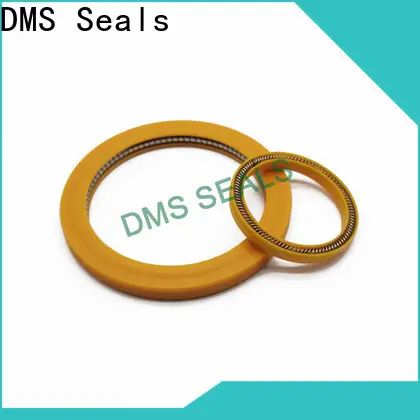 DMS Seals spring loaded oil seal wholesale for reciprocating piston rod or piston single acting seal 1