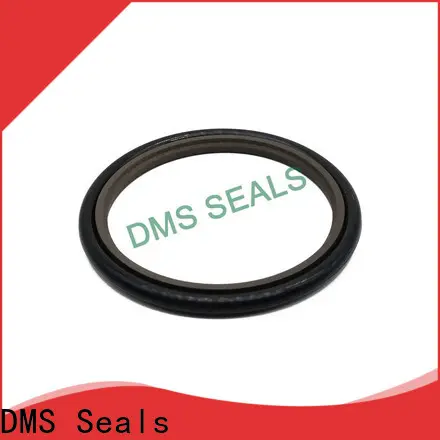 DMS Seals Wholesale seals for air cylinders factory for pressure work and sliding high speed occasions 1