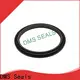 DMS Seals Wholesale seals for air cylinders factory for pressure work and sliding high speed occasions 1