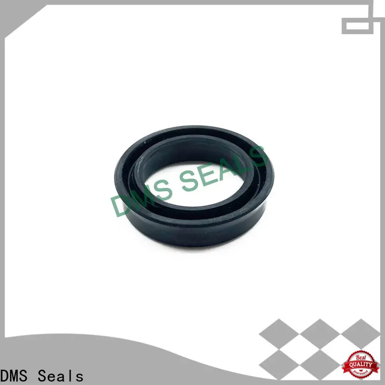 DMS Seals Top dust seal manufacturers wholesale for piston and hydraulic cylinder 1