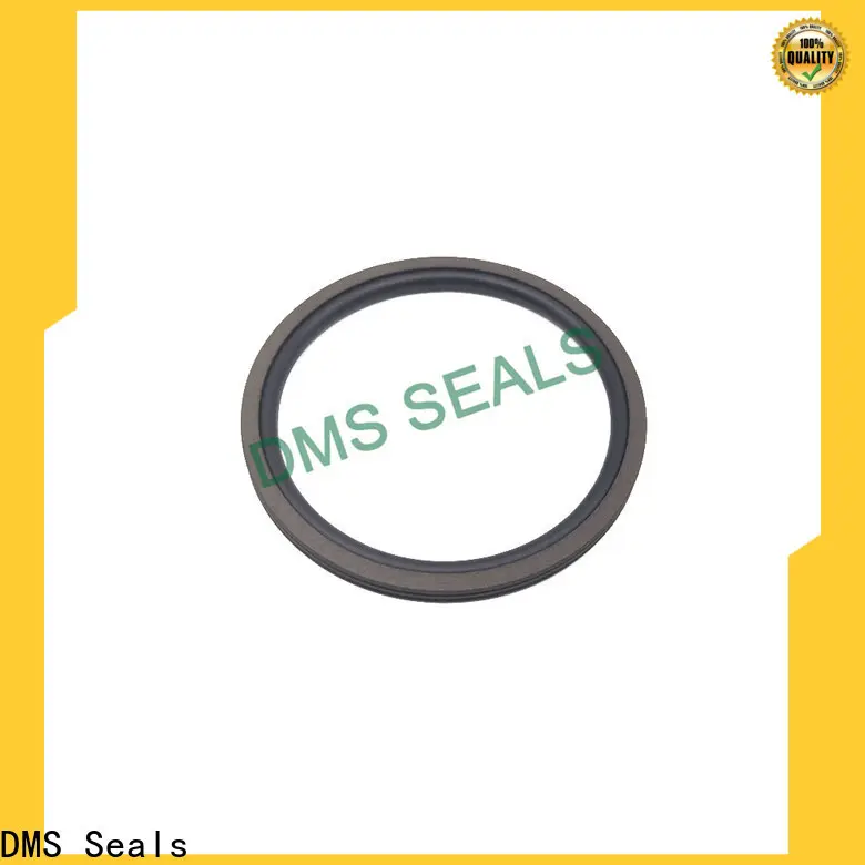DMS Seals High-quality oil retainer seal factory for automotive equipment 1