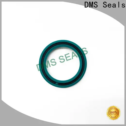 Best seal ring suppliers cost for larger piston clearance 1