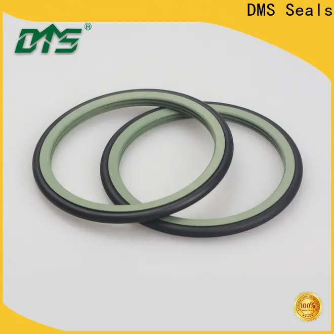 DMS Seals v type oil seal wholesale for automotive equipment 1