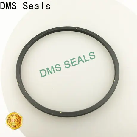 DMS Seals Custom rubber seal strip suppliers supplier for larger piston clearance 1
