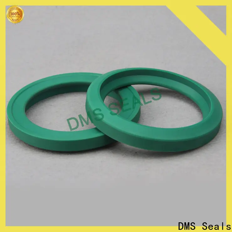 DMS Seals hydraulic oil seal for sale for larger piston clearance 1