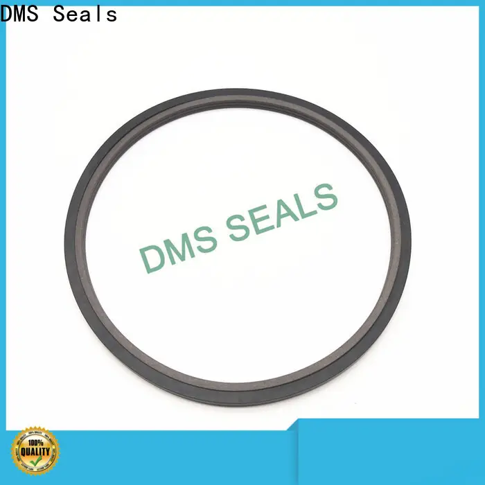 DMS Seals best seals for air cylinders manufacturer to high and low speed 1