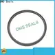 DMS Seals best seals for air cylinders manufacturer to high and low speed 1