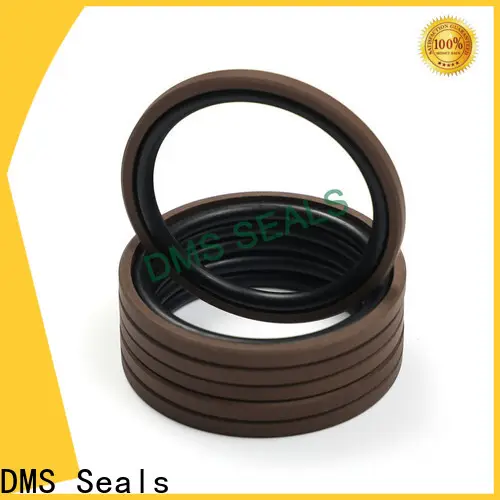 DMS Seals seals for hydraulic pumps company for pneumatic equipment 1