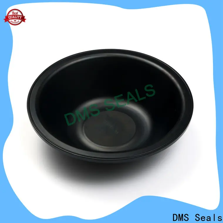 DMS Seals w profile rubber seal vendor for leakage gap 1