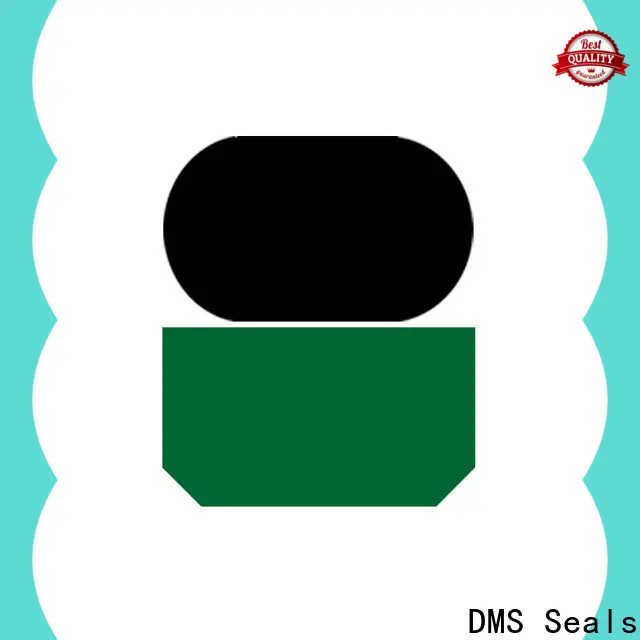 DMS Seals Top kit seal cylinder factory for pressure work and sliding high speed occasions 1