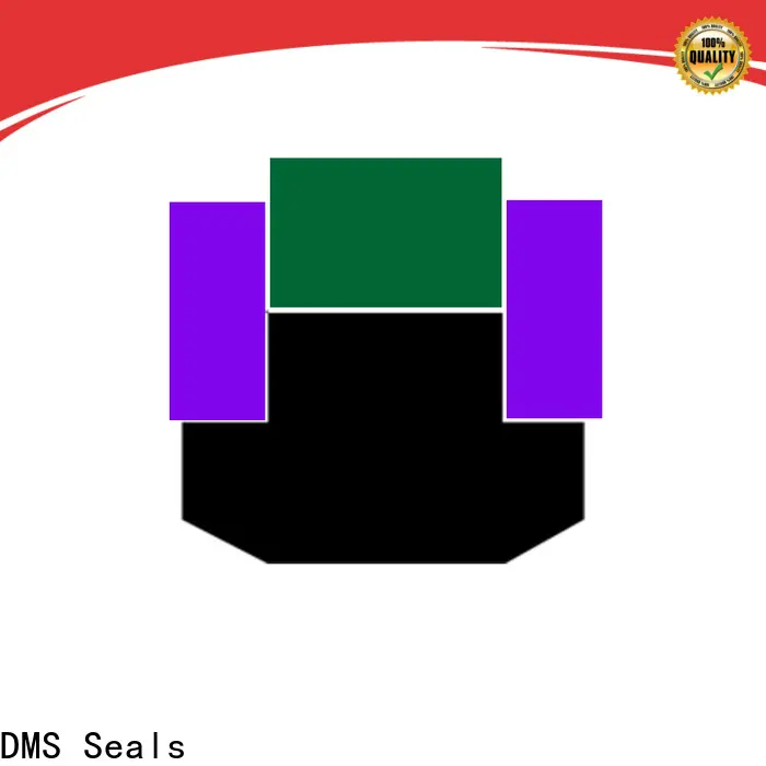 DMS Seals hydraulic oil seal manufacturers supply for sale 1