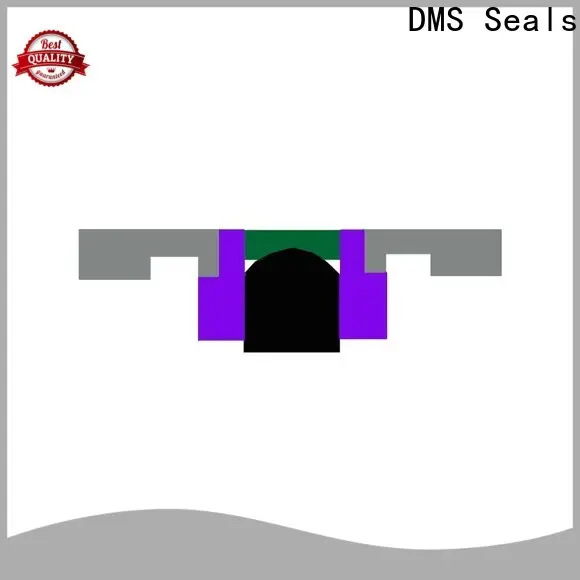 DMS Seals hydraulic seal kits suppliers supplier for light and medium hydraulic systems 1