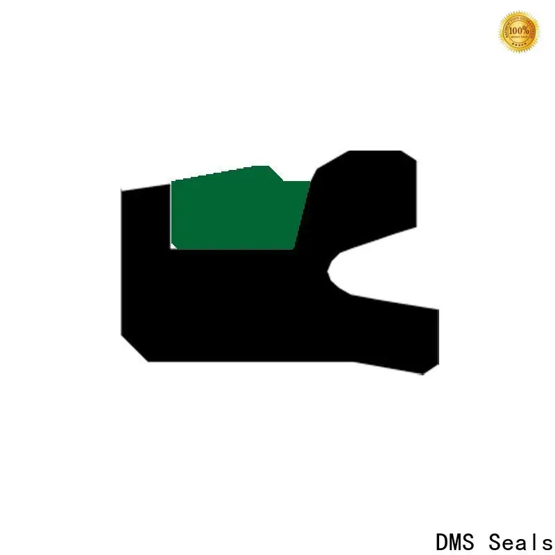 DMS Seals forklift hydraulic cylinder seals factory price for pneumatic equipment 1