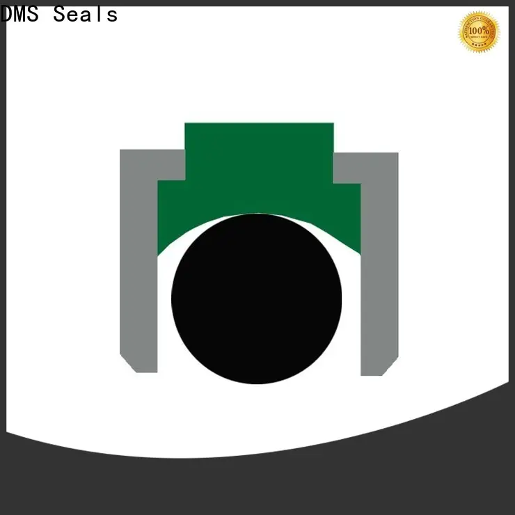 DMS Seals molded seals factory price for light and medium hydraulic systems 1