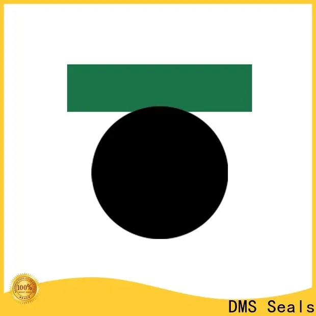DMS Seals air cylinder piston seals company for sale 1