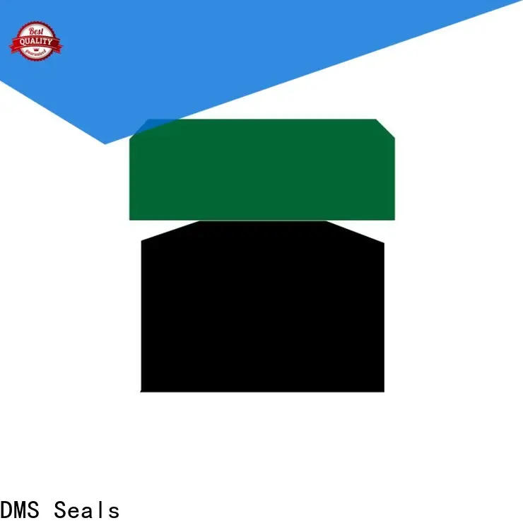 DMS Seals cylinder rod seal vendor for light and medium hydraulic systems 1
