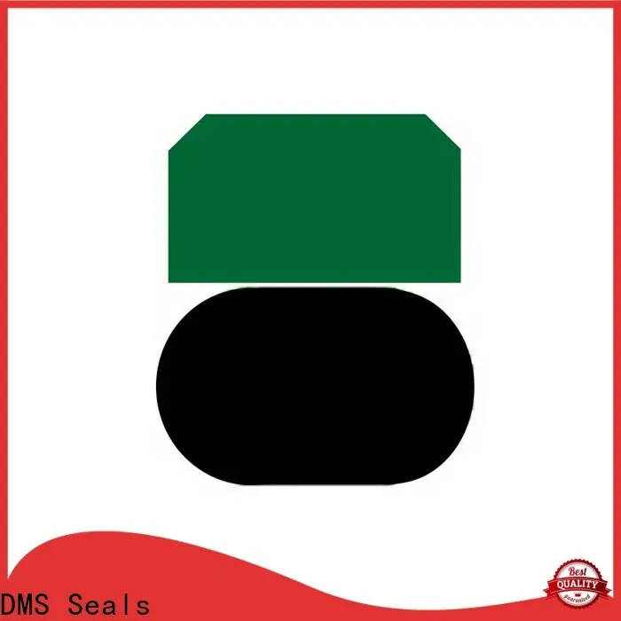 DMS Seals cylinder oil seal company for light and medium hydraulic systems 1