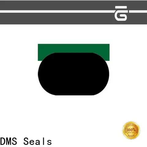 DMS Seals High-quality piston oil seal cost for pneumatic equipment 1