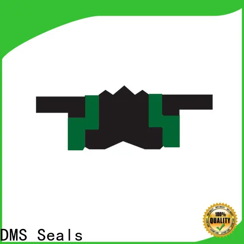 DMS Seals Top hydraulic rod seal installer price for pneumatic equipment 1
